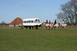 Paarden achter de huifkar